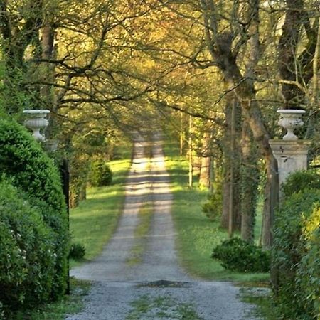 Domaine De La Vivarie Castres  Exterior foto