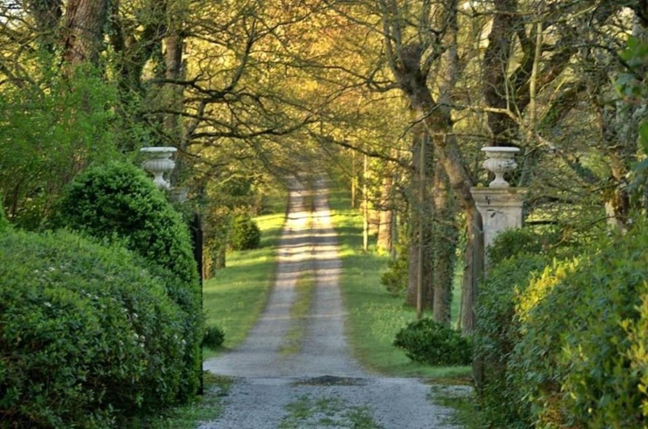 Domaine De La Vivarie Castres  Exterior foto